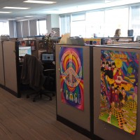 office photo 5
